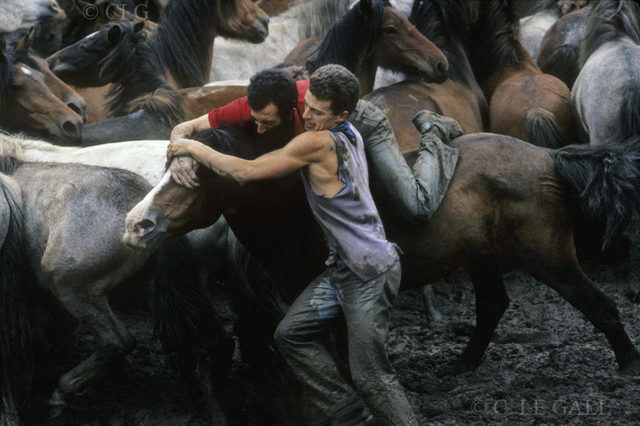 Aloitadores en el curro sujetando a un caballo
