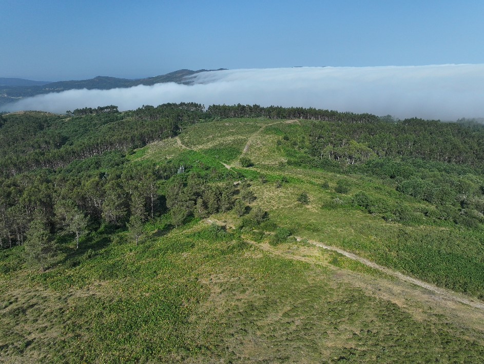 Paisaje natural desde una altura con bosques y campos. Se ven nubes.