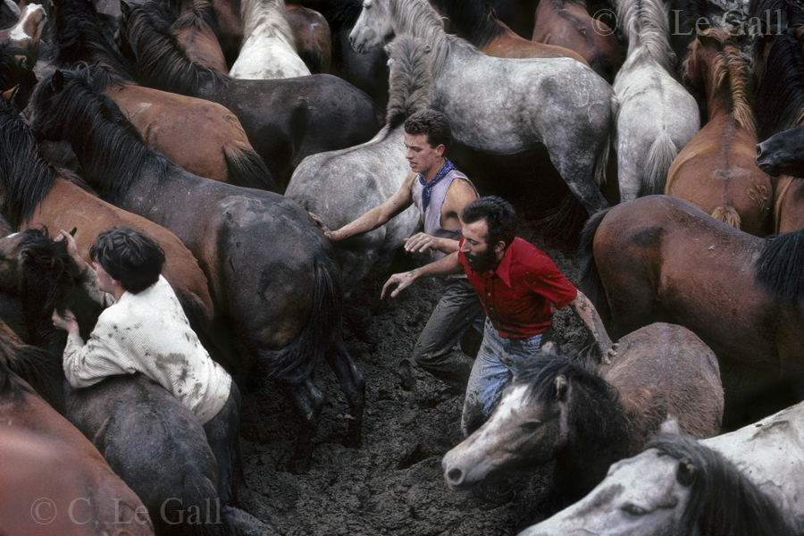 Tres hombres rodeados de caballos dentro del curro