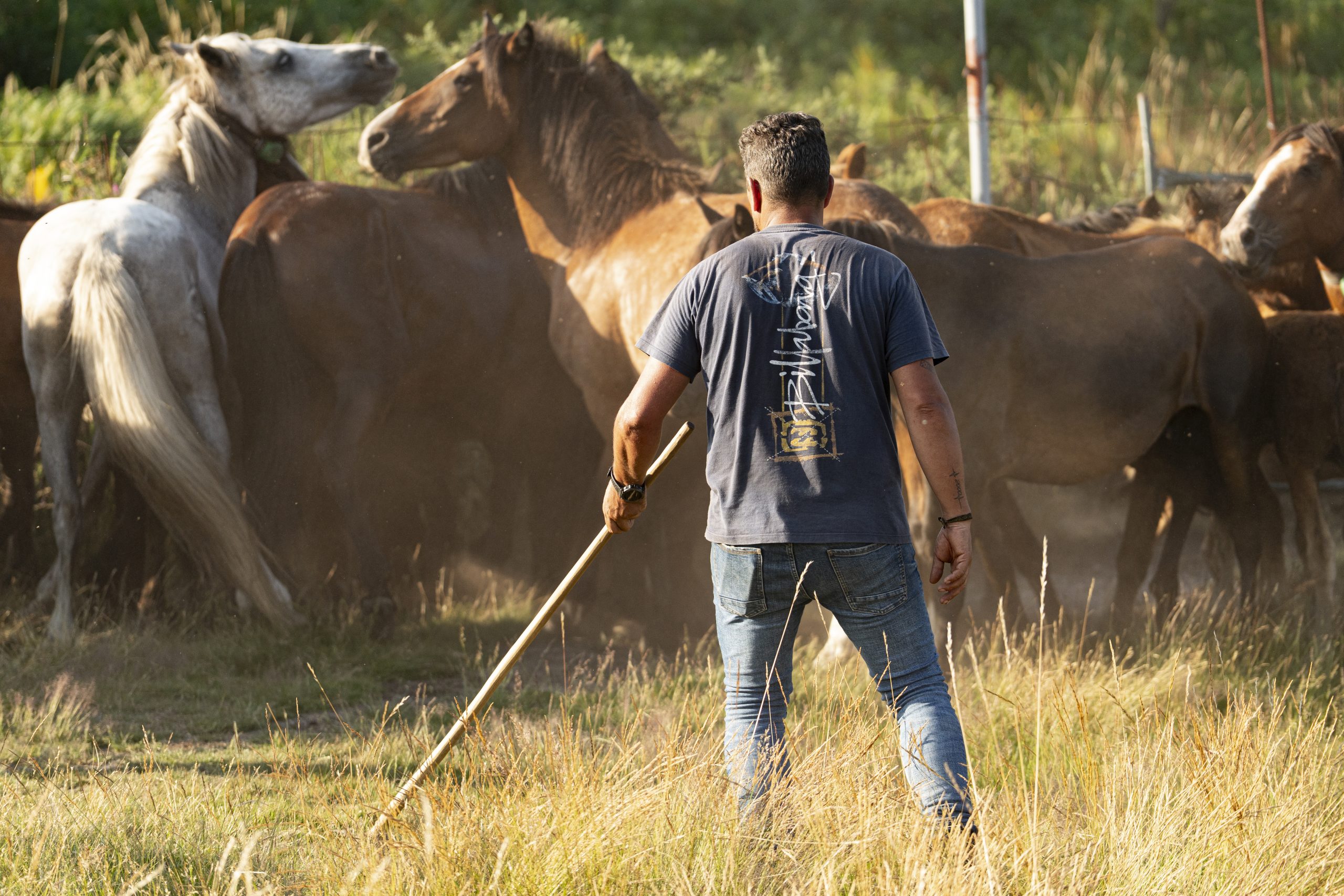 Reunion das greas no Castelo