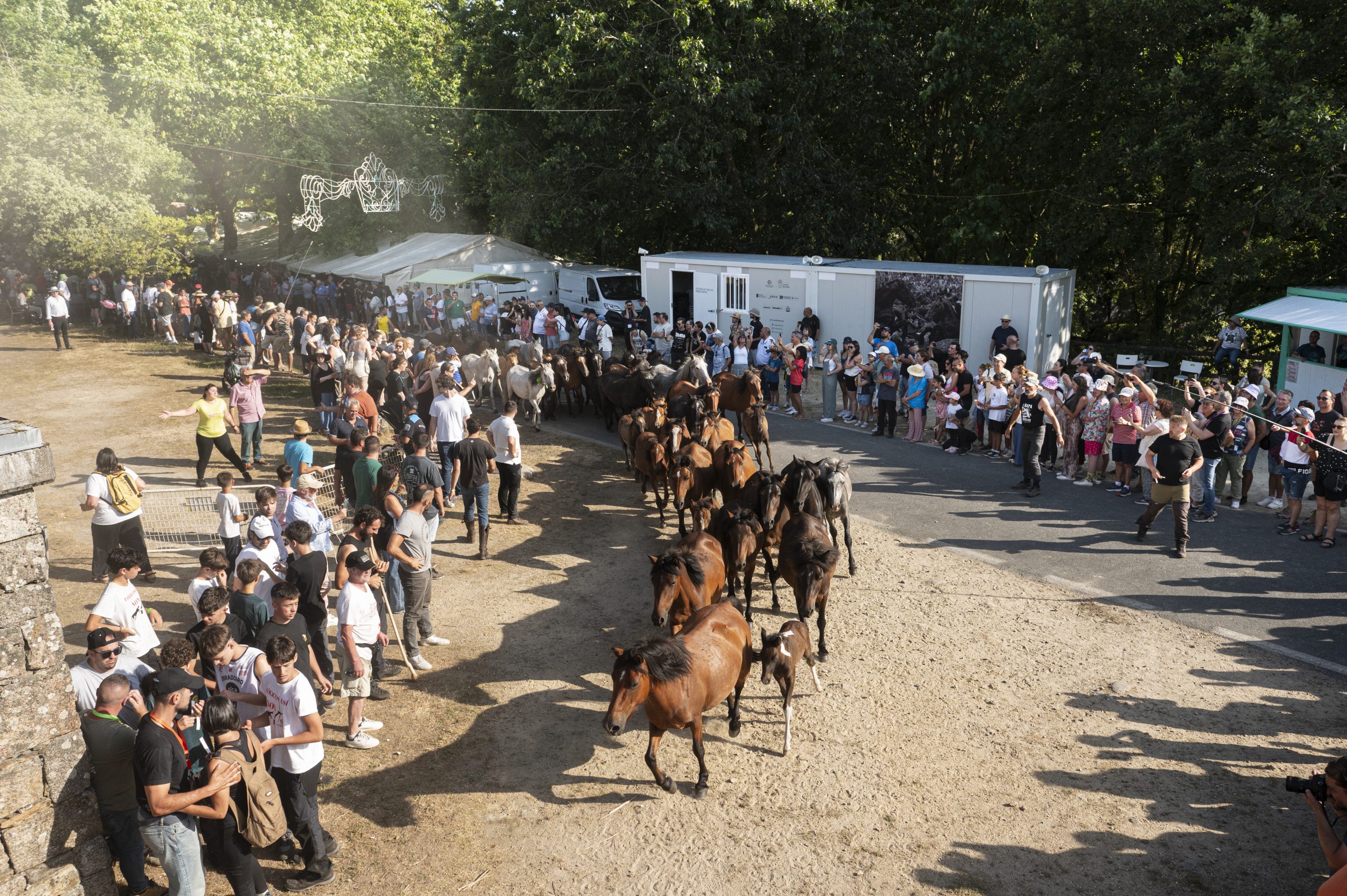 Entrada das bestas na curva do Curro