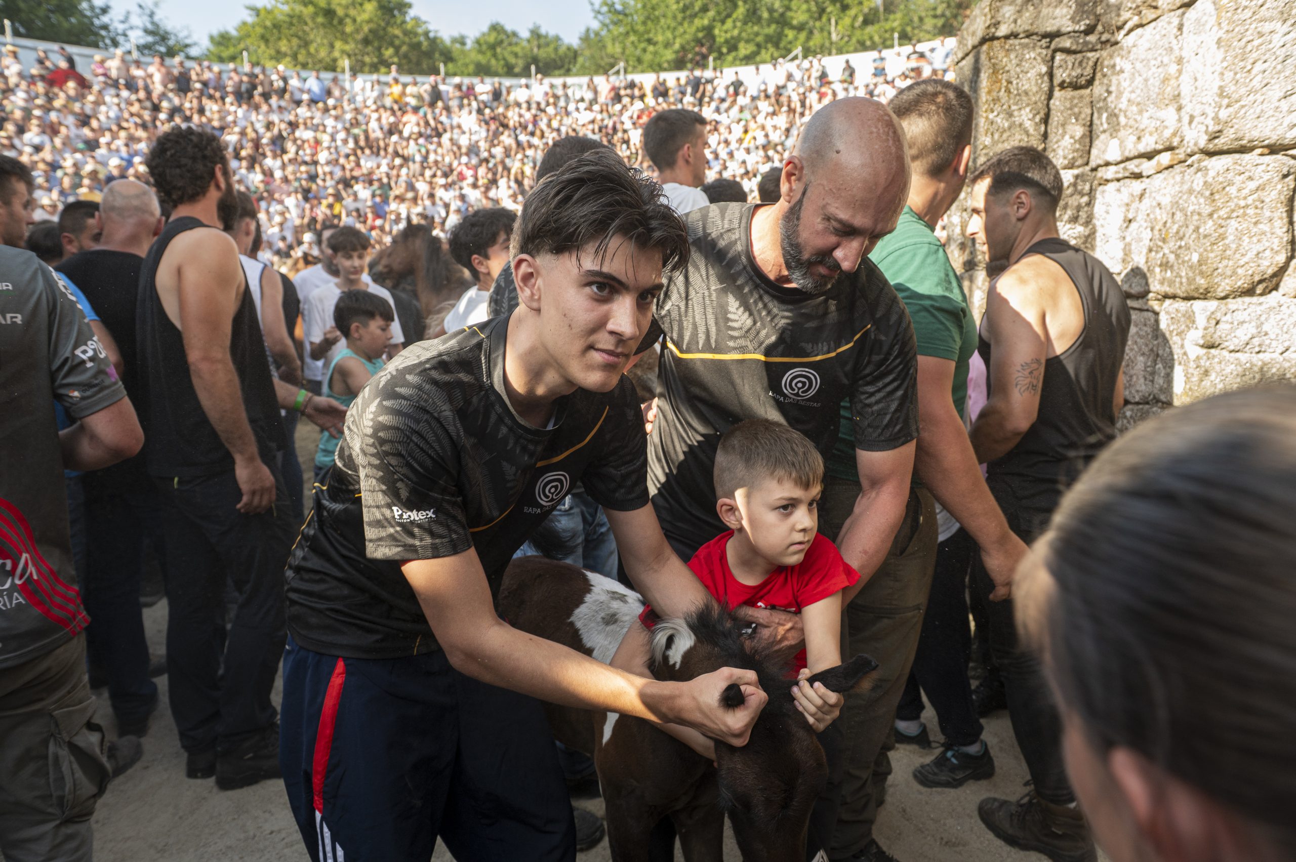 Separación dos poldros