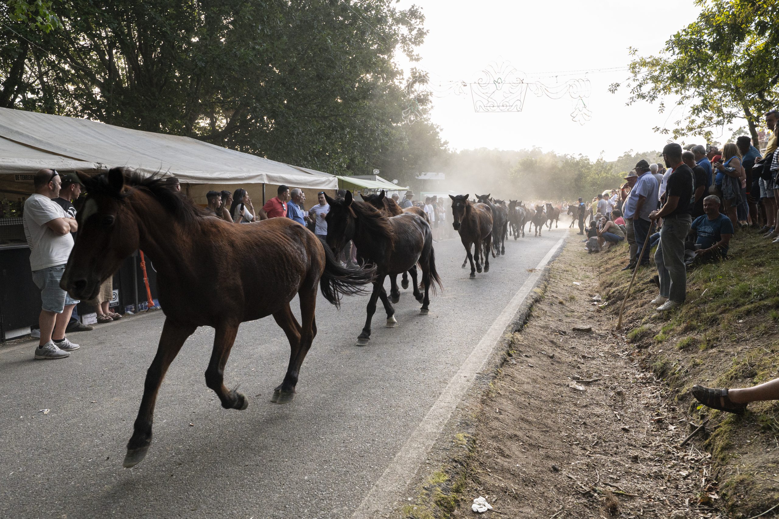 Saída da rapa a Cataroi